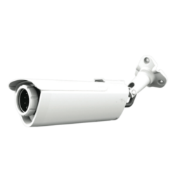 IP Cameras